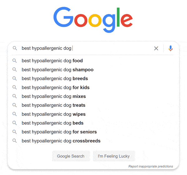 Google search suggestions