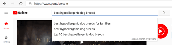 YouTube search suggestions